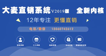 直銷軟件開發與人工智能公共服務平臺技術咨詢服務